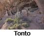 Tonto