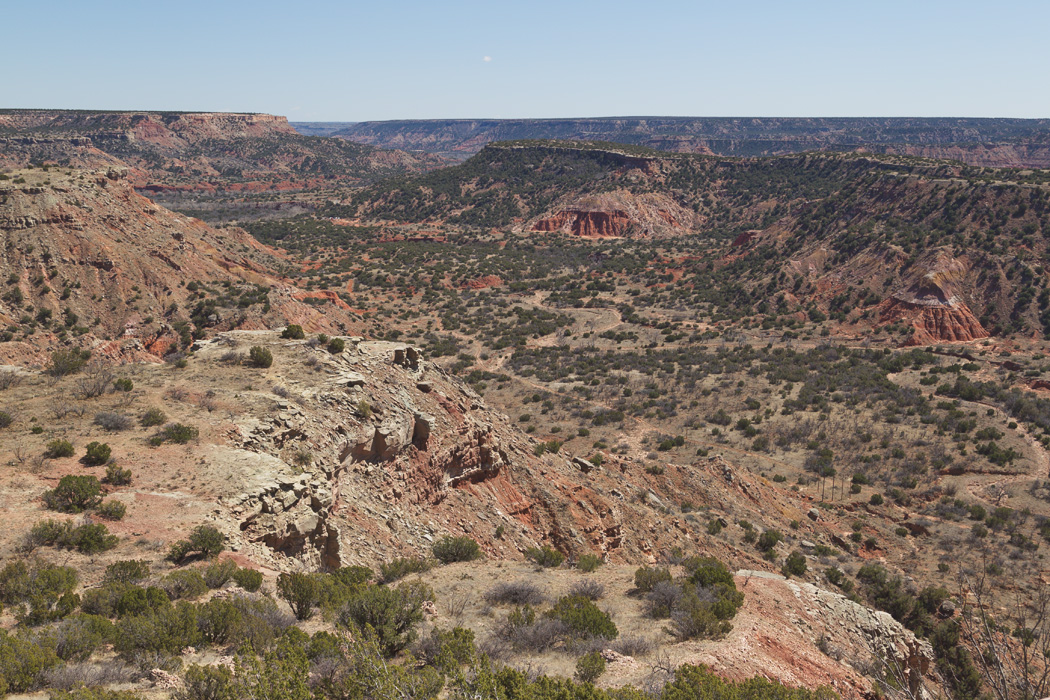 Palo Duro #1