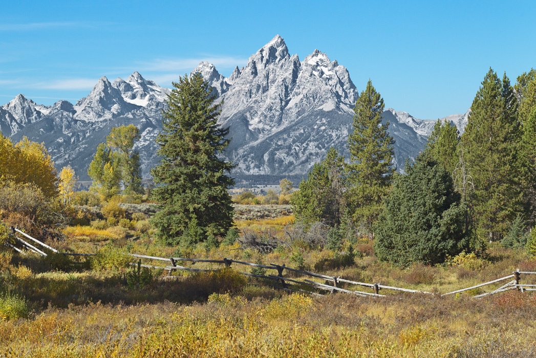 Teton Gold