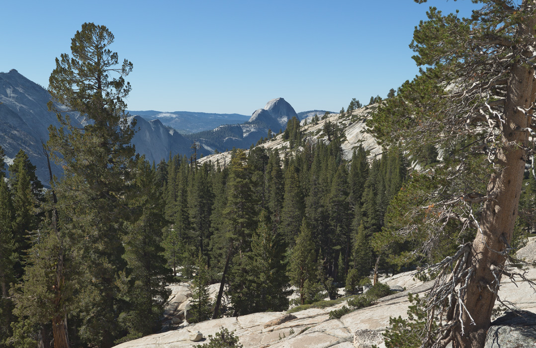 Half Dome