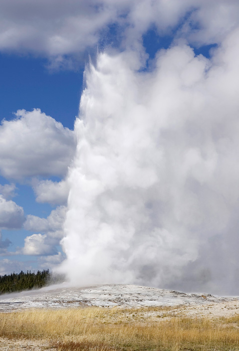 Old Faithful